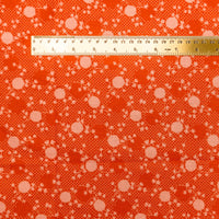 Floral Burst - lobster