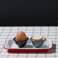 Enamel tray - small - red