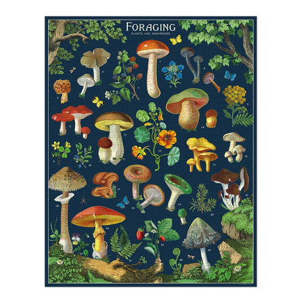 Jigsaw - foraging fungi