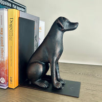 Labrador bookend