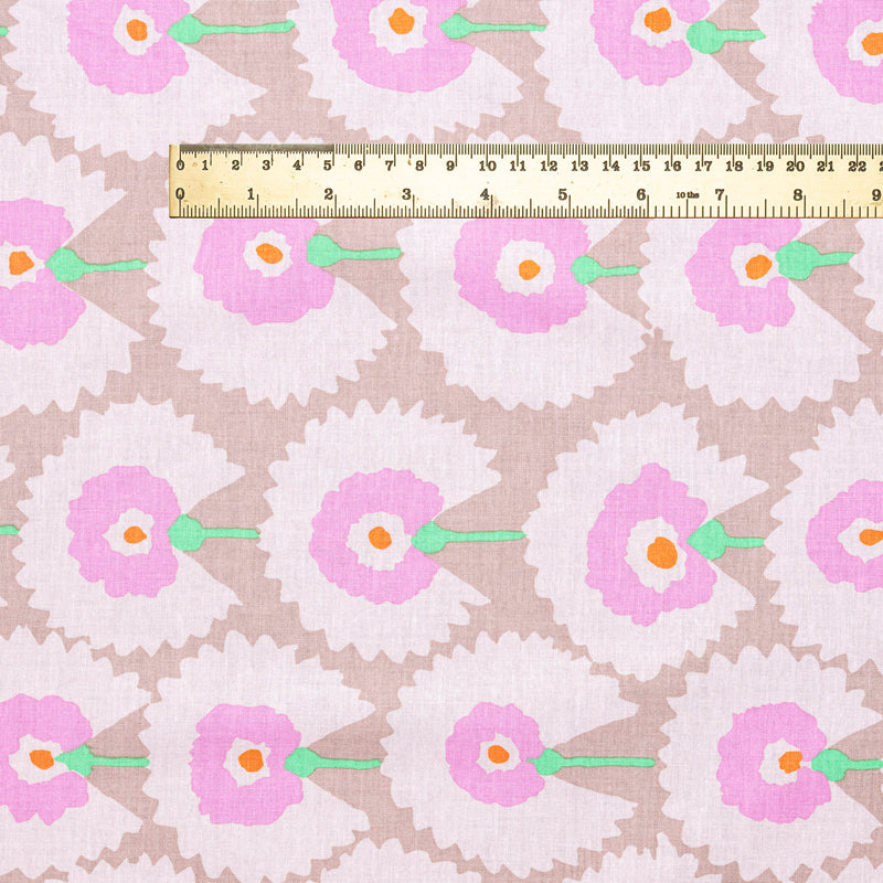 Regal fans - pastel