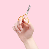 Lecco embroidery scissors