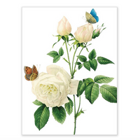 Boxed notecards - white blossoms