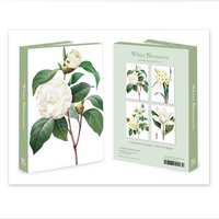 Boxed notecards - white blossoms