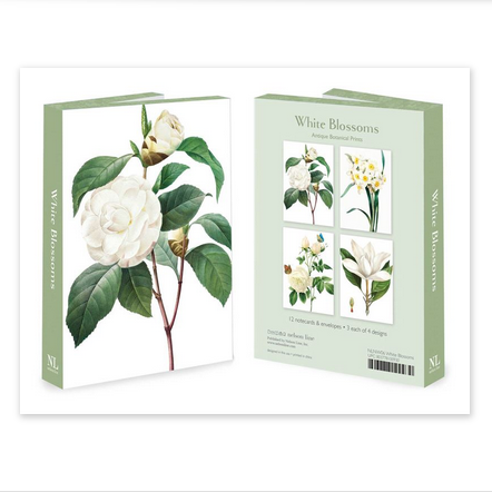 Boxed notecards - white blossoms