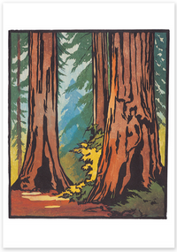 Boxed cards - arts & crafts