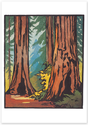 Boxed cards - arts & crafts