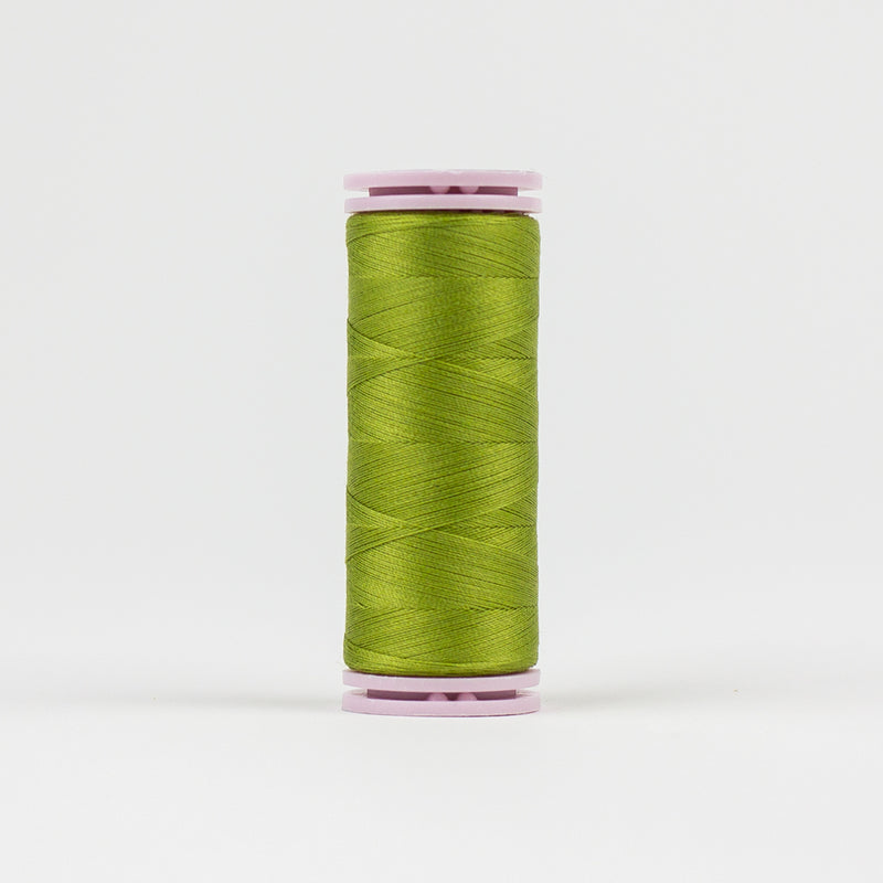 Avocado - EFS12