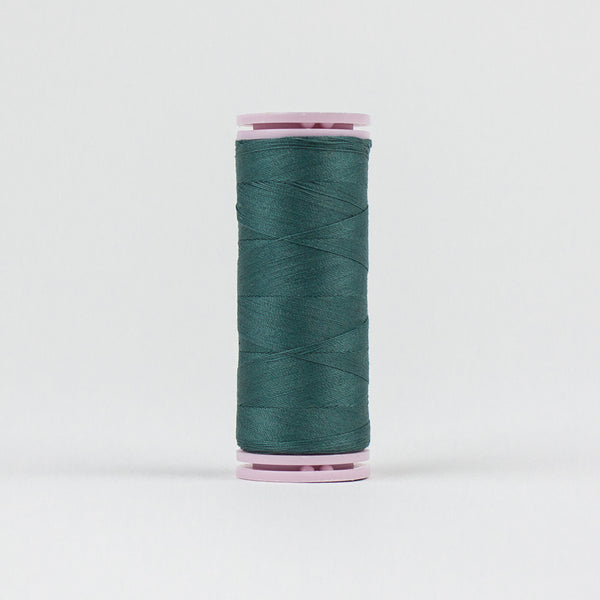 Blue spruce - EFS17