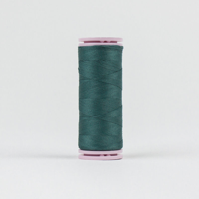 Blue spruce - EFS17