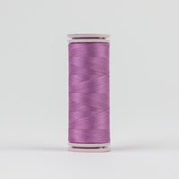 Dogwood rose - EFS59