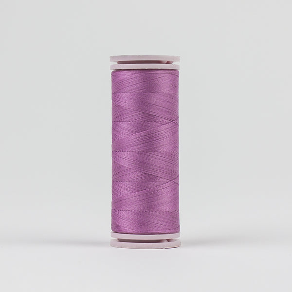 Dogwood rose - EFS59