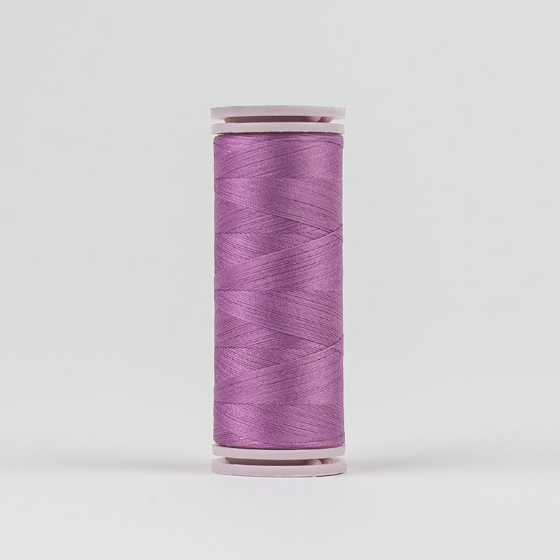 Dogwood rose - EFS59