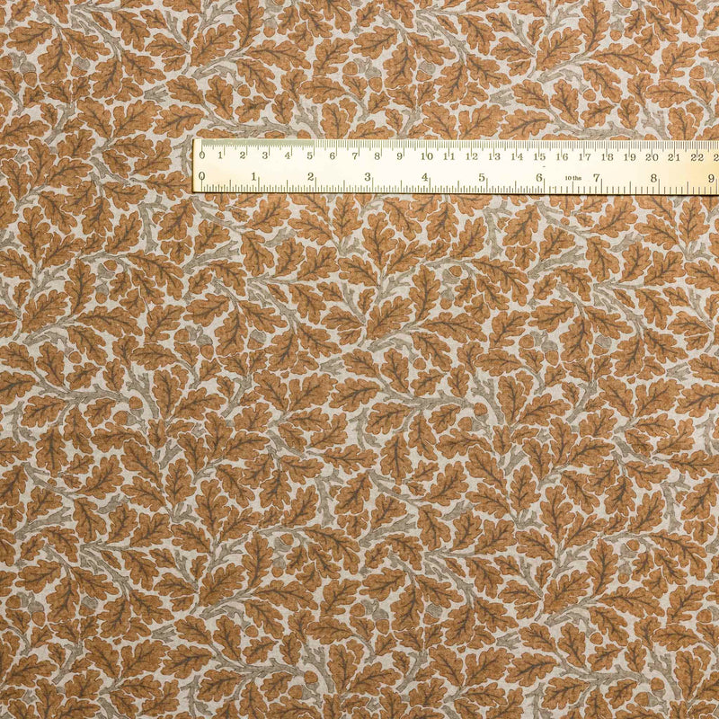 Acorn - brown