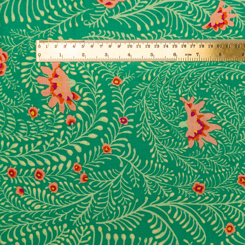 Ferns - green