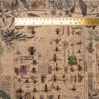 Entomology