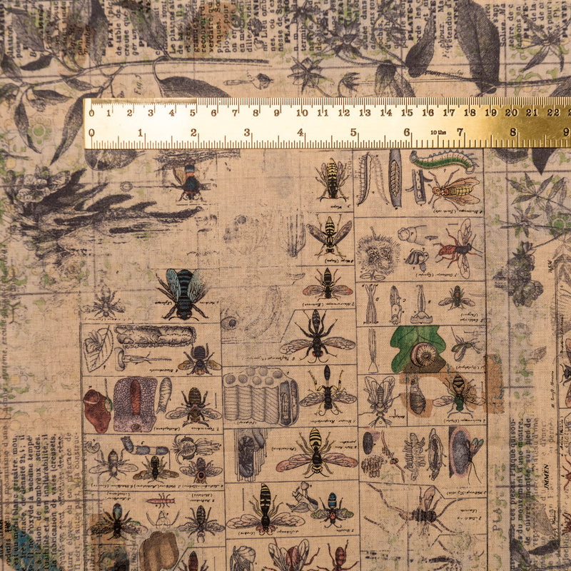 Entomology