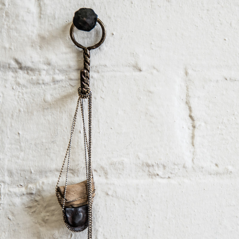 Linnaeus hook